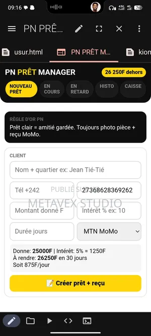 Ingénieur Logiciel & Consultant en SI