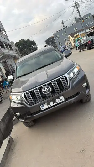 Toyota Land Cruiser Prado 4.0 Petrol TX-L 2021 Gris