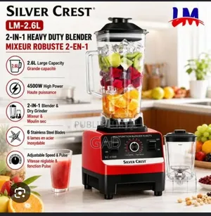 Mixeur Silver Crest