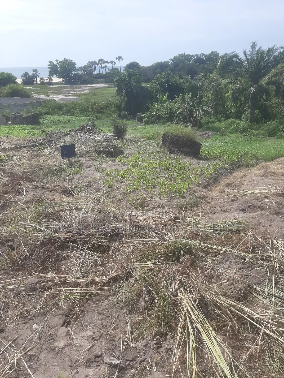 Parcelle À Vendre Vu De Mer