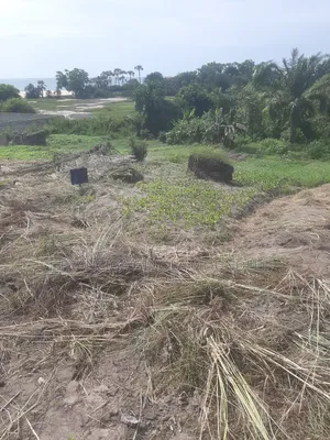 Parcelle À Vendre Vu De Mer