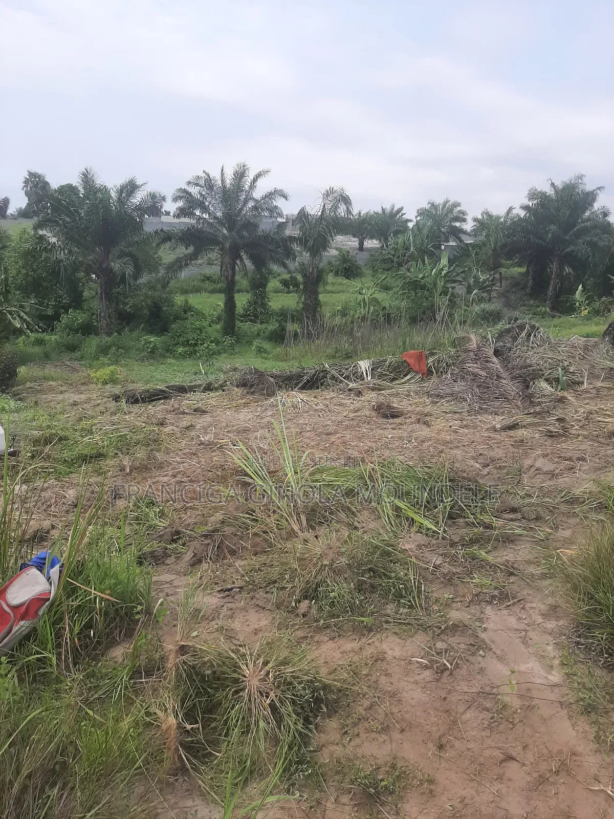 Parcelle À Vendre Vu De Mer