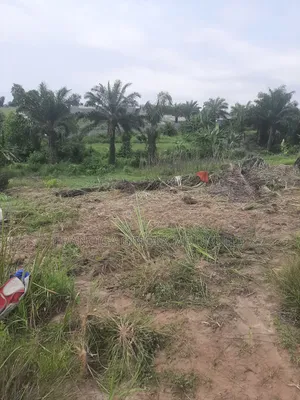 Parcelle À Vendre Vu De Mer