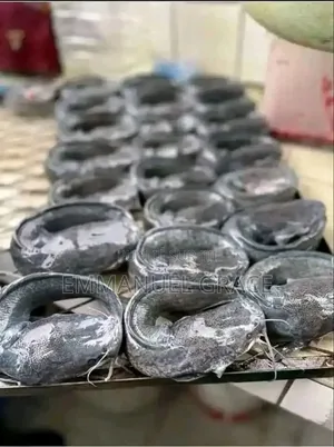 Vente Poissons d'Eau Douce Et De Mère