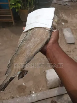 Vente Poissons d'Eau Douce Et De Mère