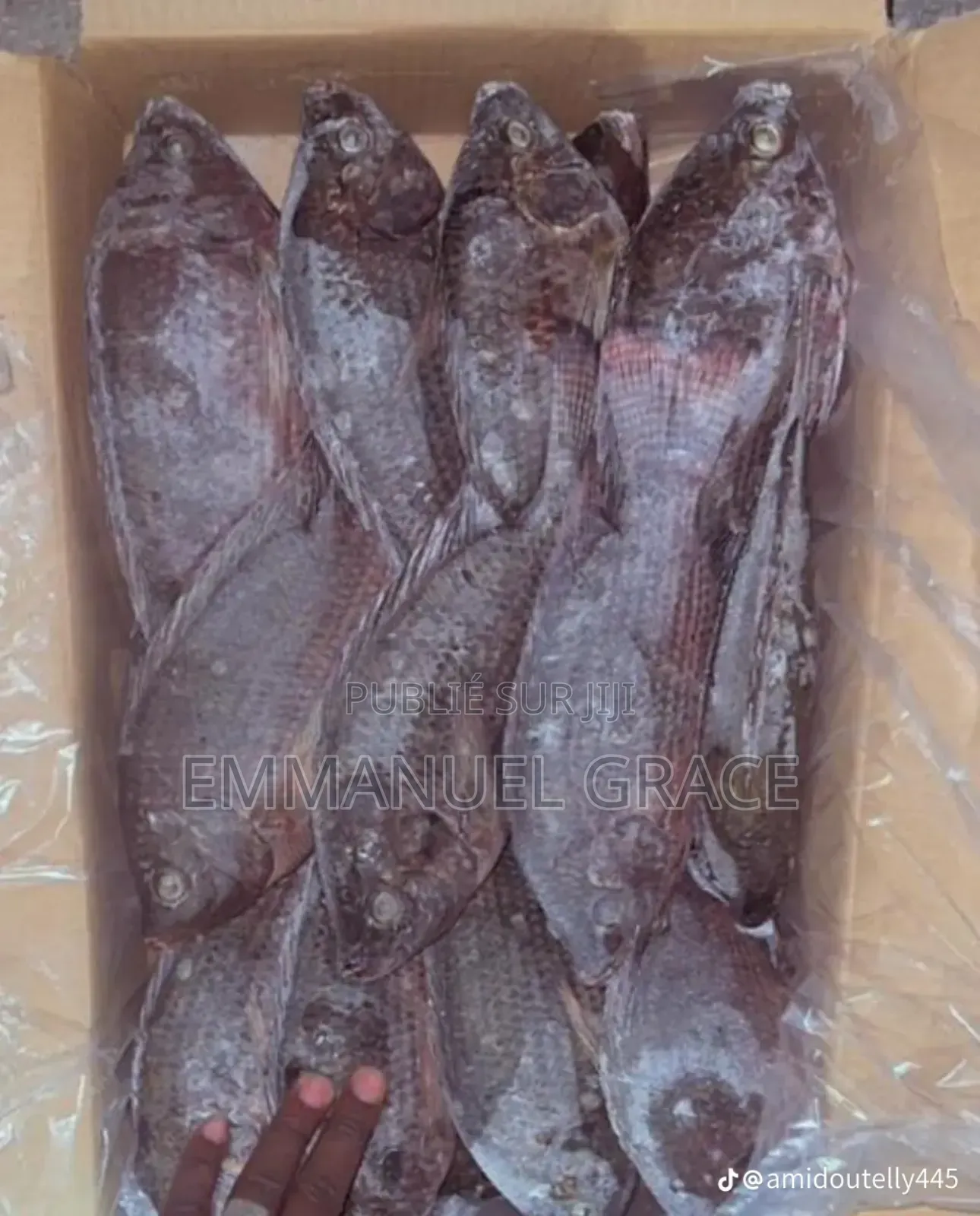 Vente Poissons d'Eau Douce Et De Mère