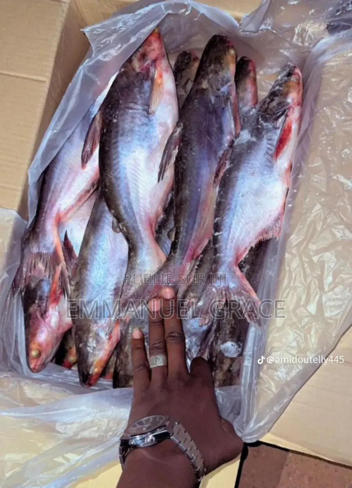Vente Poissons d'Eau Douce Et De Mère