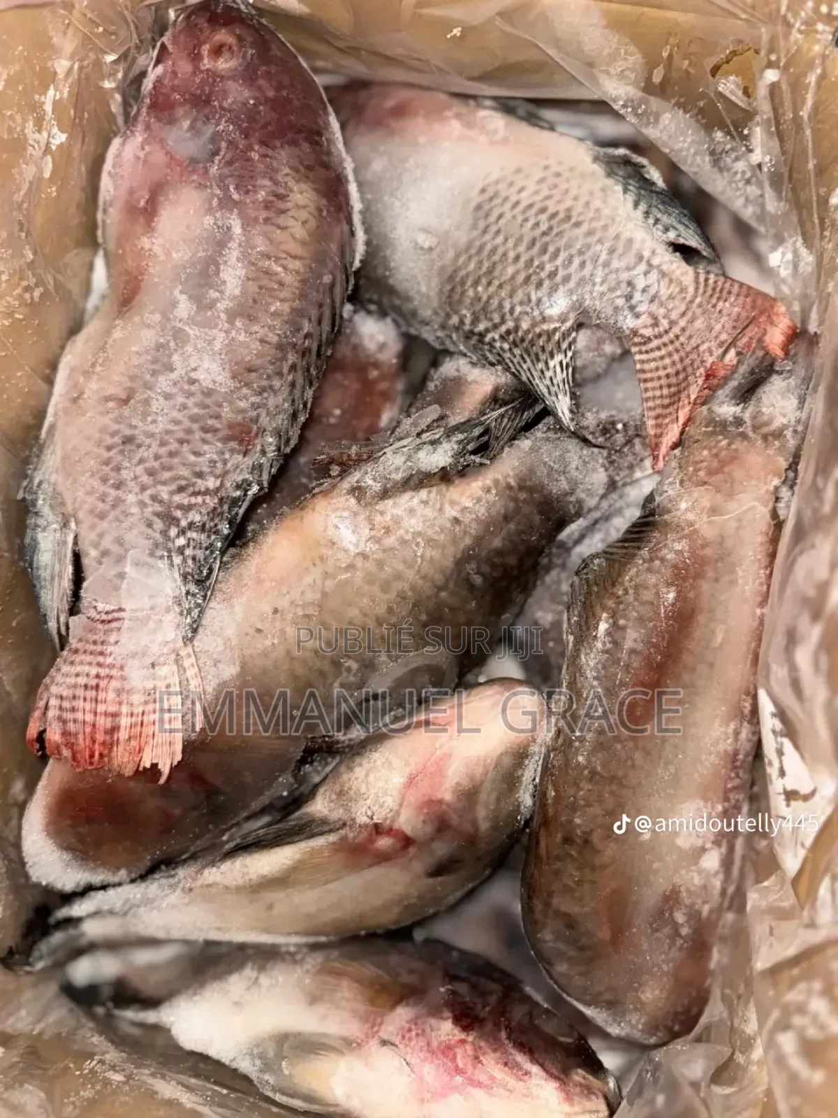 Vente Poissons d'Eau Douce Et De Mère