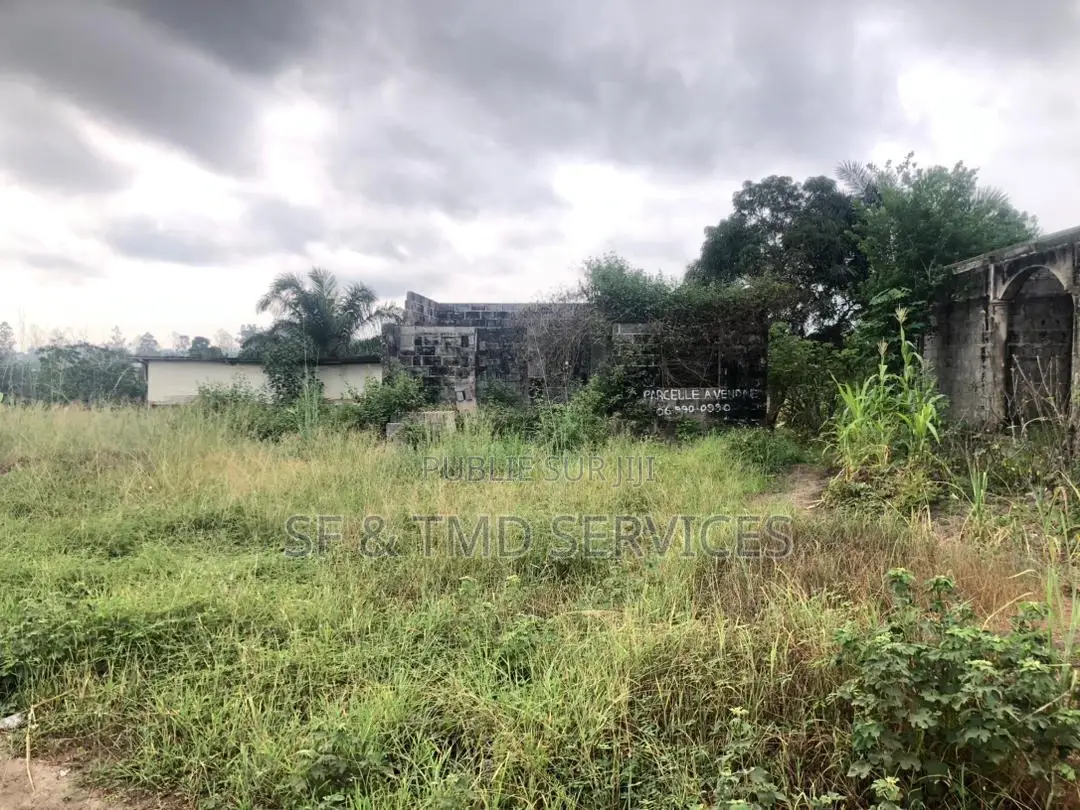 Parcelle À Vendre À Vendre, Quartier 11 Mort