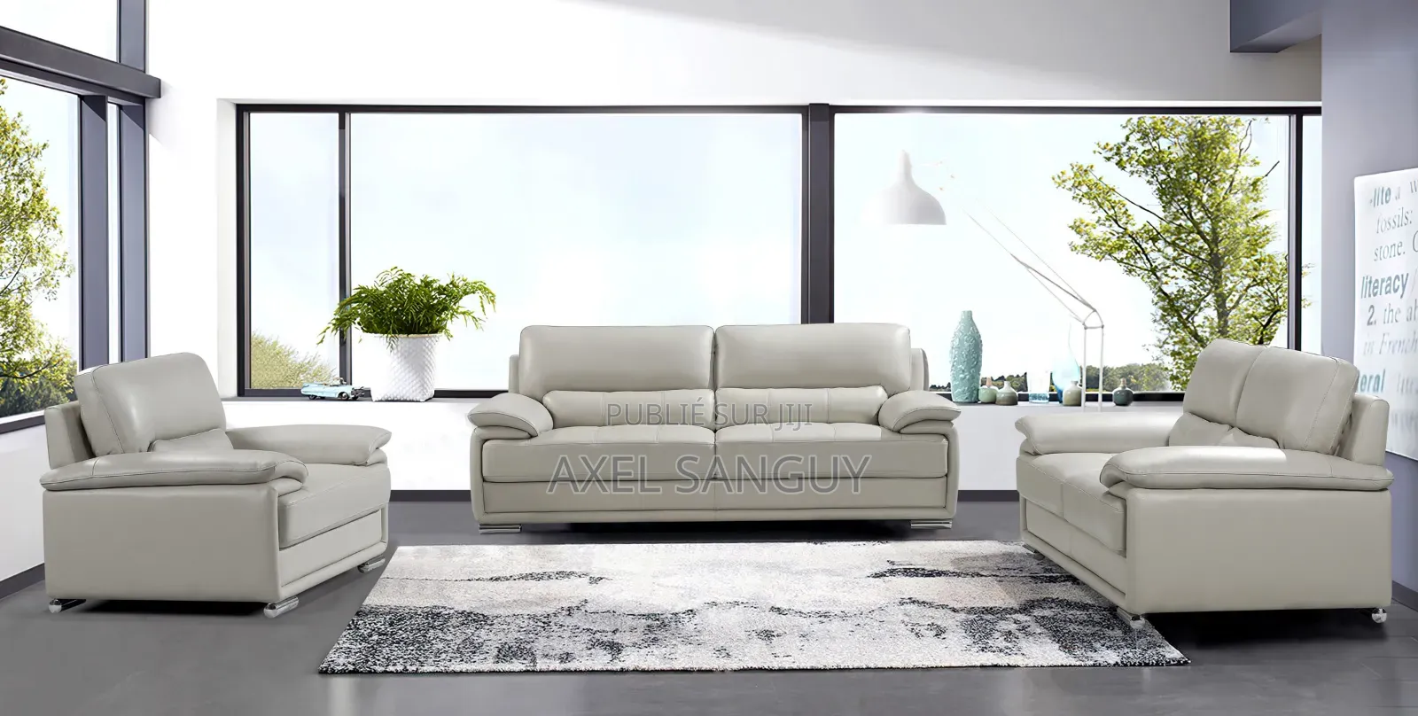 Salon en Cuir Et Table À Manger