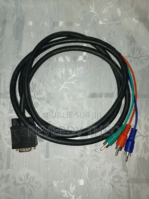 Câble Double Entrée
