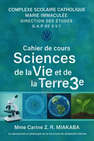 Conception Design Et Montage Vidéo