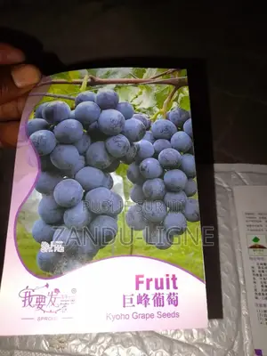 Pepín De Raisins