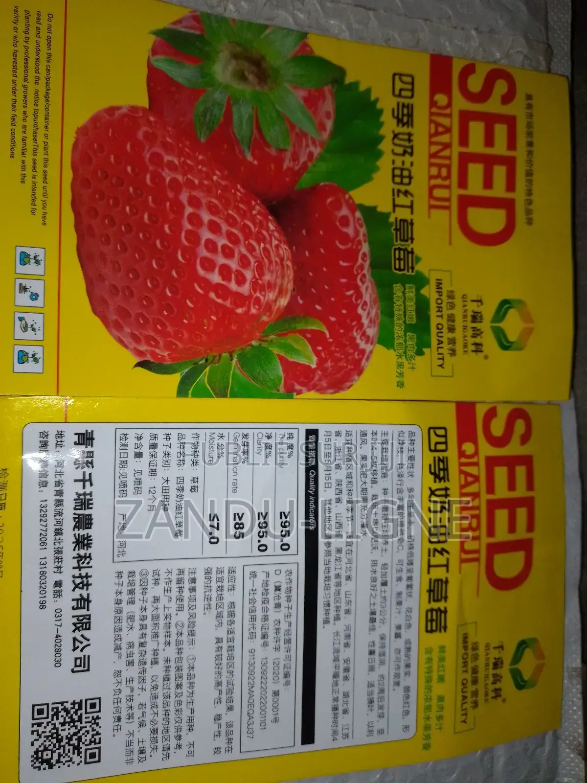 Semences De Fraisier