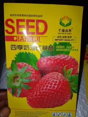 Semences De Fraisier