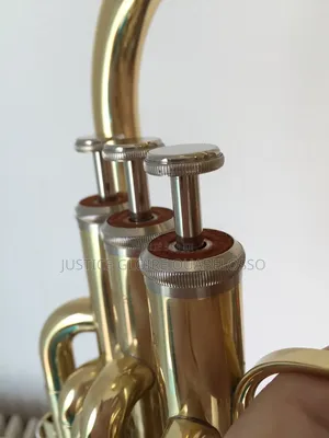 Réparation Instruments De Musique À Tout Vent ( Cuivre )