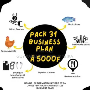 Pack 31 Business Plan