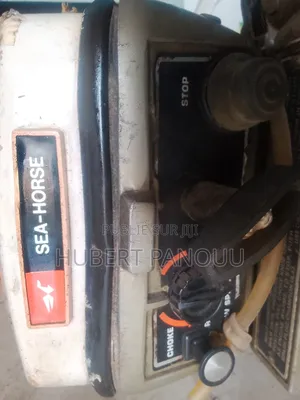 Moteur Hors-Bord 15 Hp Sea-Horse Usa