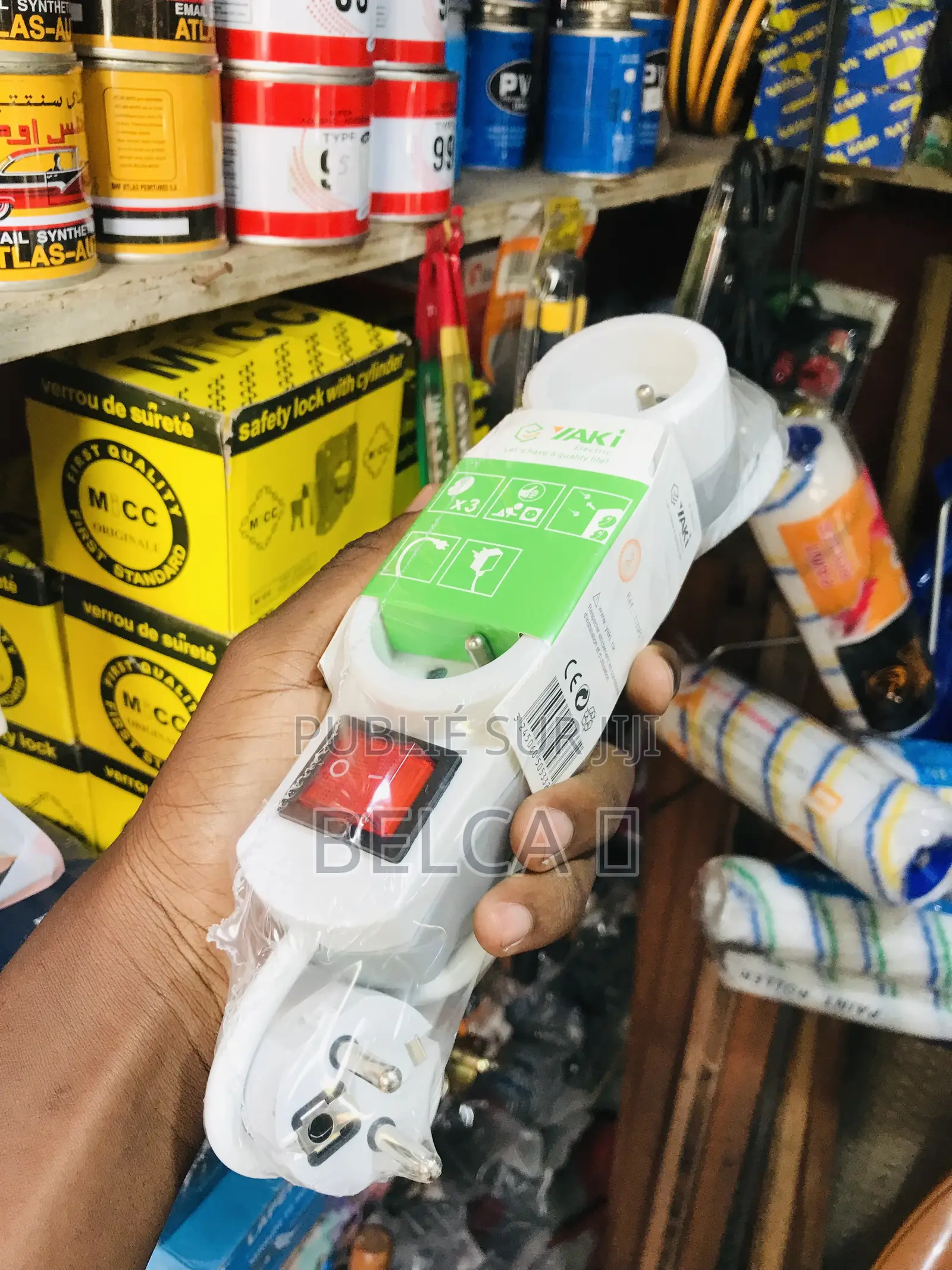 Rallonge Électrique