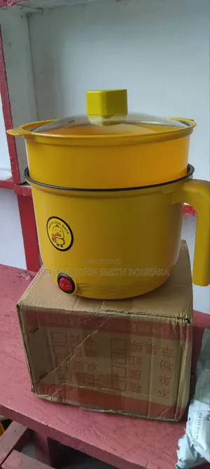 Mini Marmite Électrique