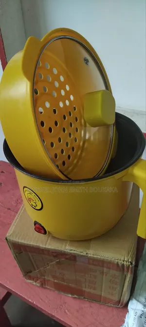 Mini Marmite Électrique