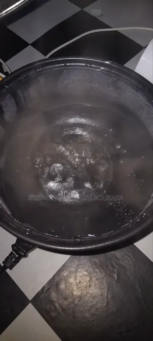 Mini Marmite Électrique