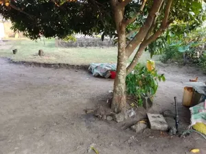 Démi Parcelle À Vendre 10m 10m Au Quartier Massengo Arrêt 3 Poto