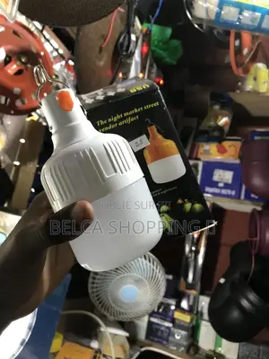 Ampoules Électriques