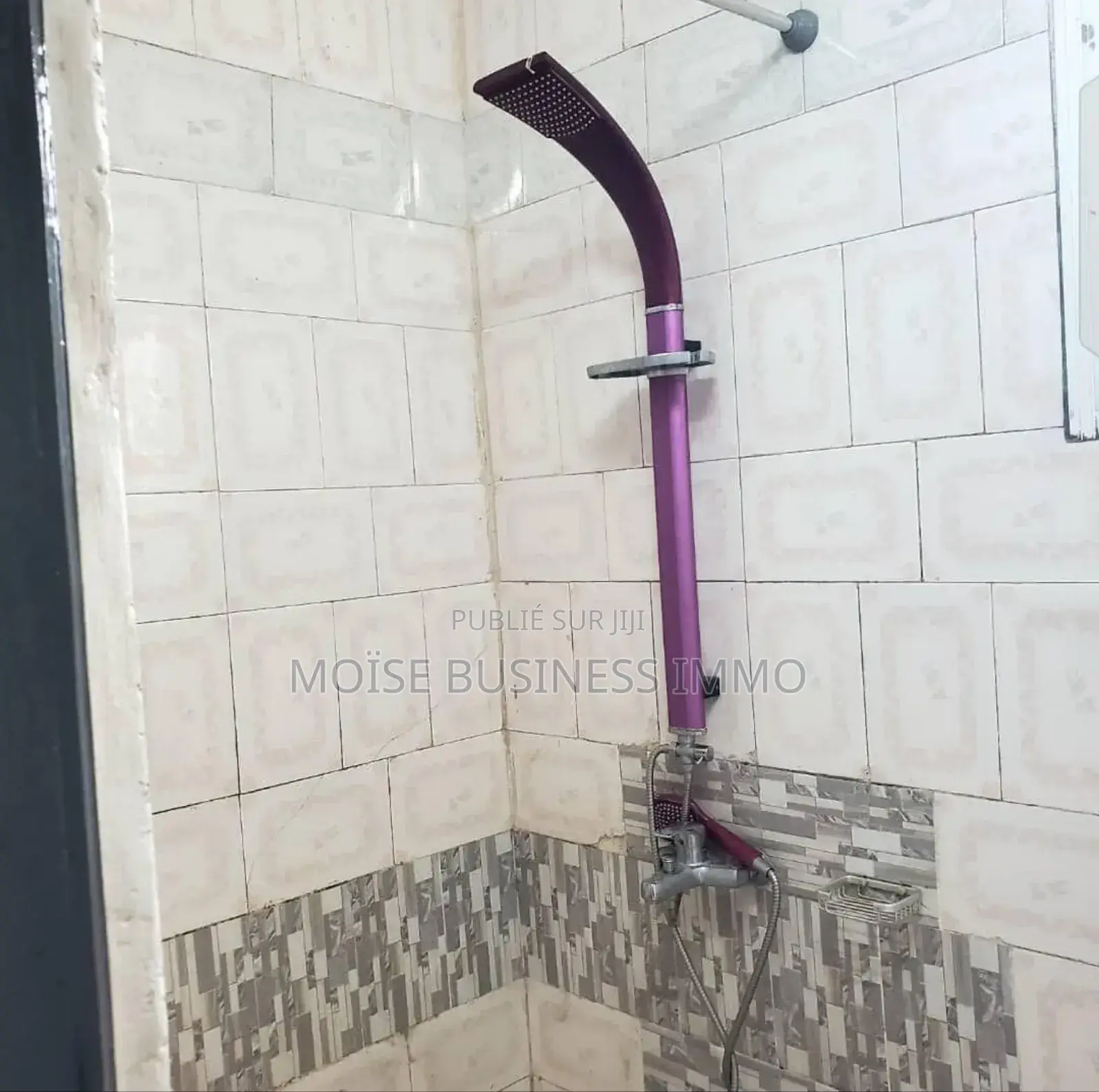 Furnished 1chbre Studio dans Moïse Business &, Lumumba à Louer