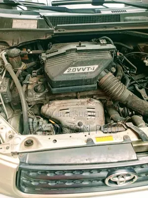 Toyota RAV4 2018 Gris