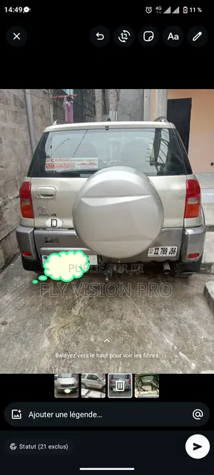 Toyota RAV4 2018 Gris