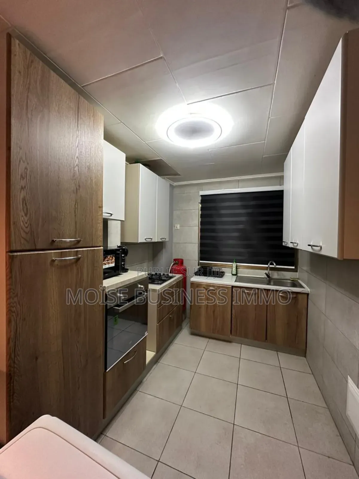 Furnished 1chbre Appartement dans Moïse Business &, Lumumba à Louer