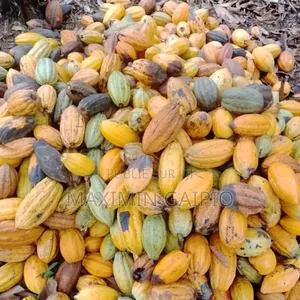 Hectares À Vendre À Odziba