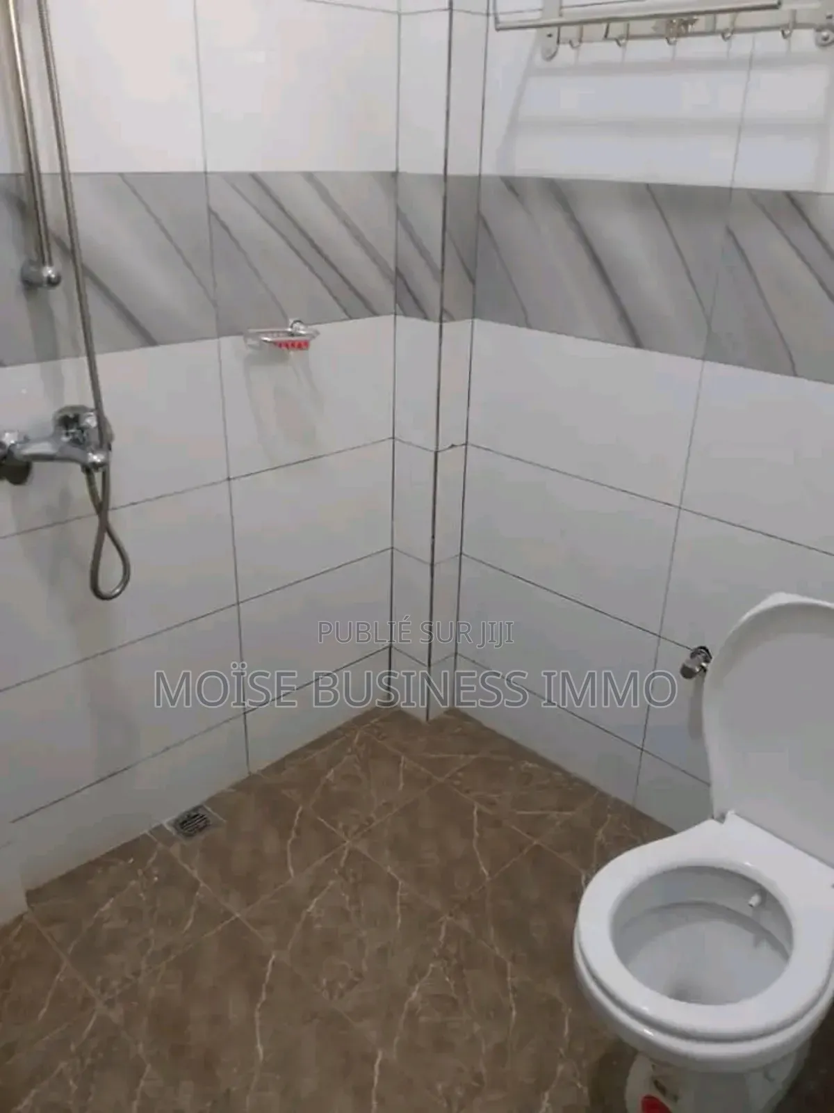 Furnished 1chbre Appartement dans Moïse Business &, Lumumba à Louer