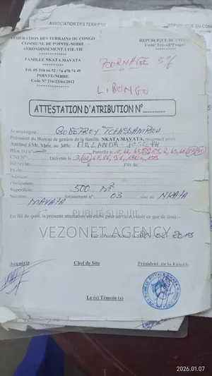 Des Blocs De Parcelles