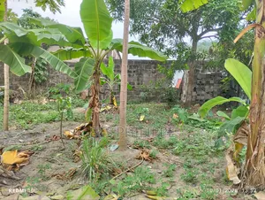 Terrain À Vendre Sup_500m2– Mpita (Côté Gendarmerie)