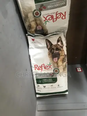 Nourriture Pour Chien