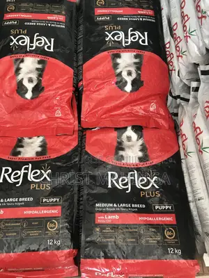 Nourriture Pour Chien