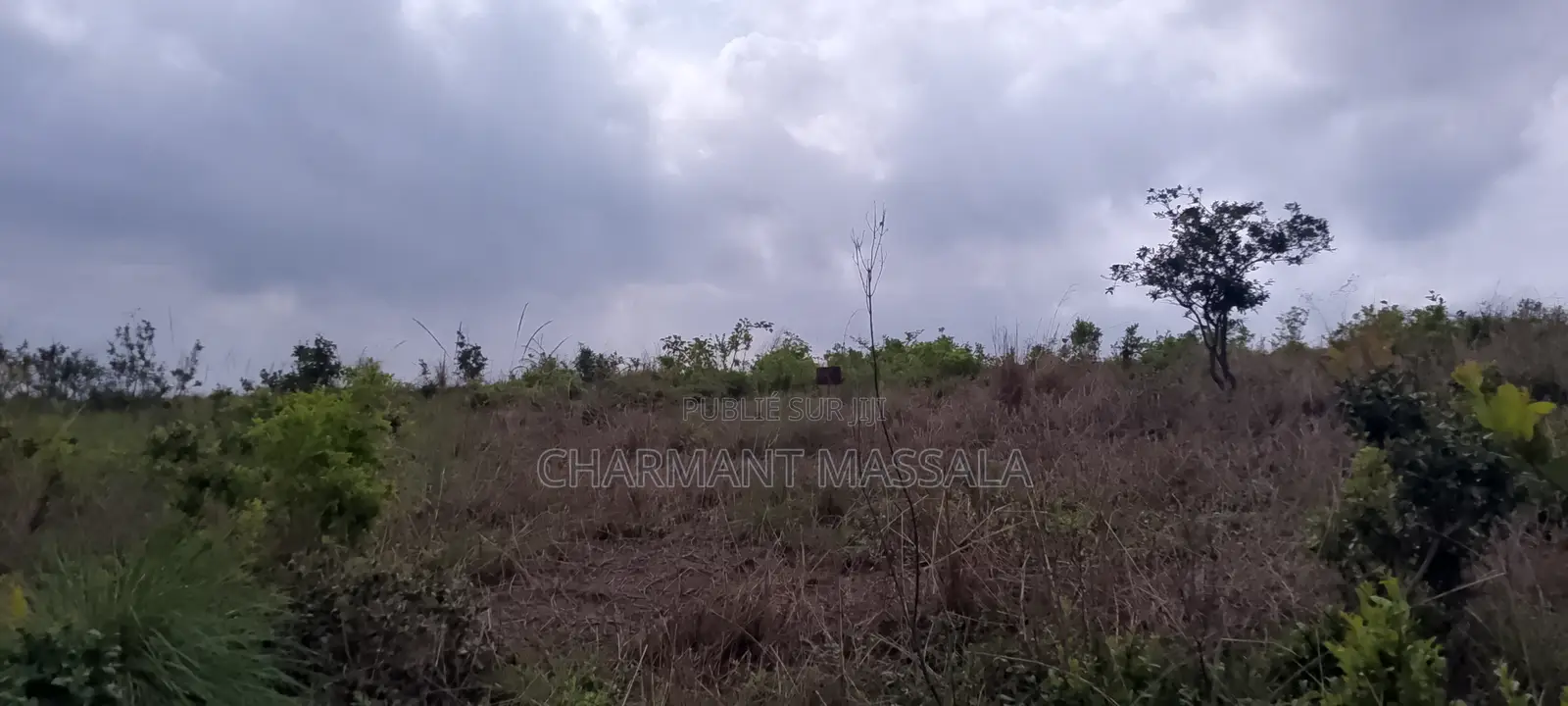 Terrain À Vendre