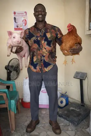 Prestation De Service Agricole