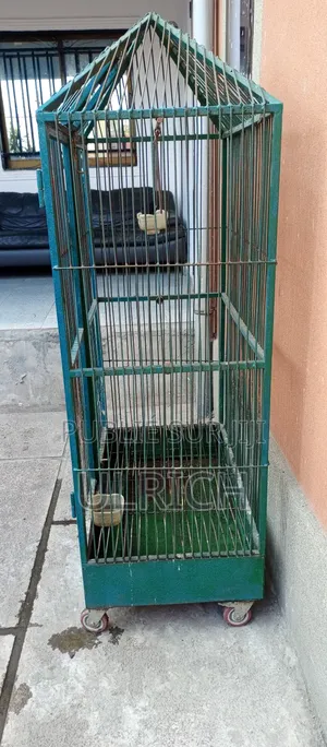 Grande Cage À Oiseaux Robuste (Type Volière d'Intérieur/Extérieur)