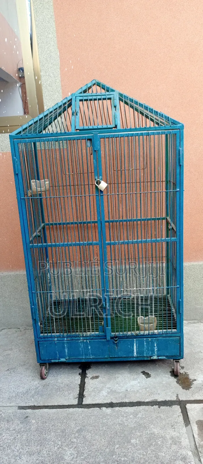 Grande Cage À Oiseaux Robuste (Type Volière d'Intérieur/Extérieur)