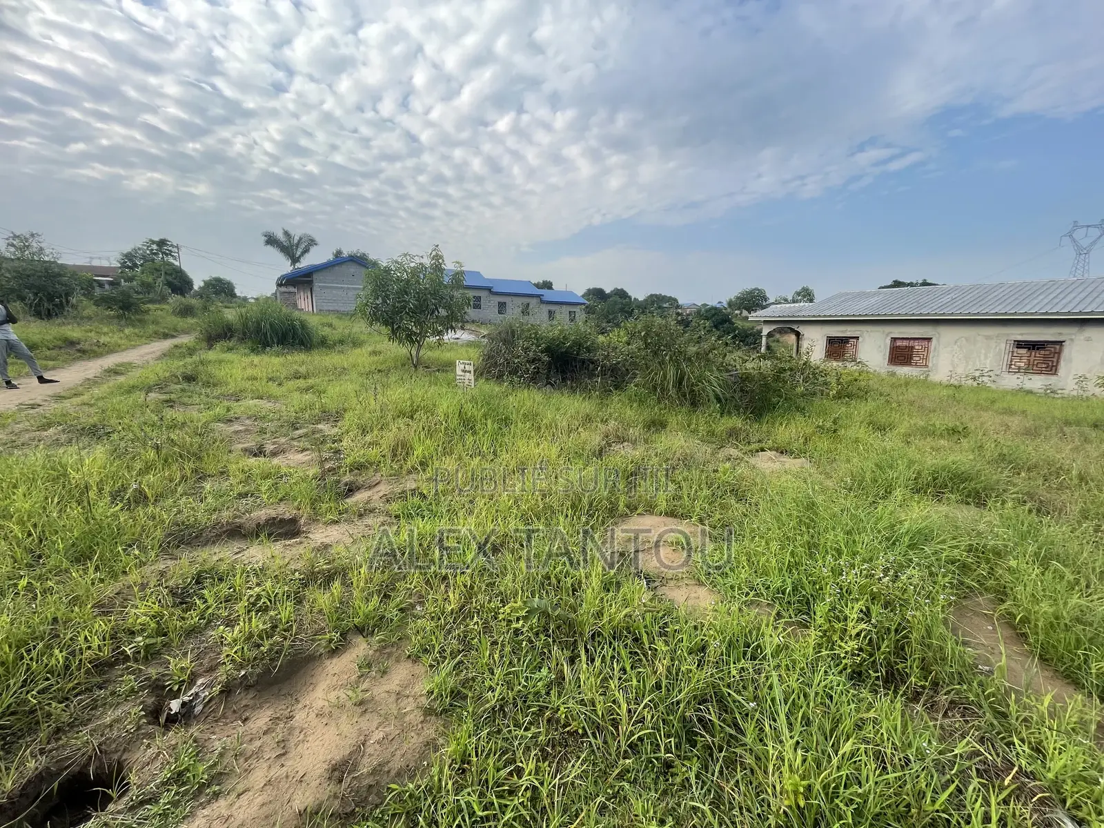 Parcelle Entière Vide À Vendre