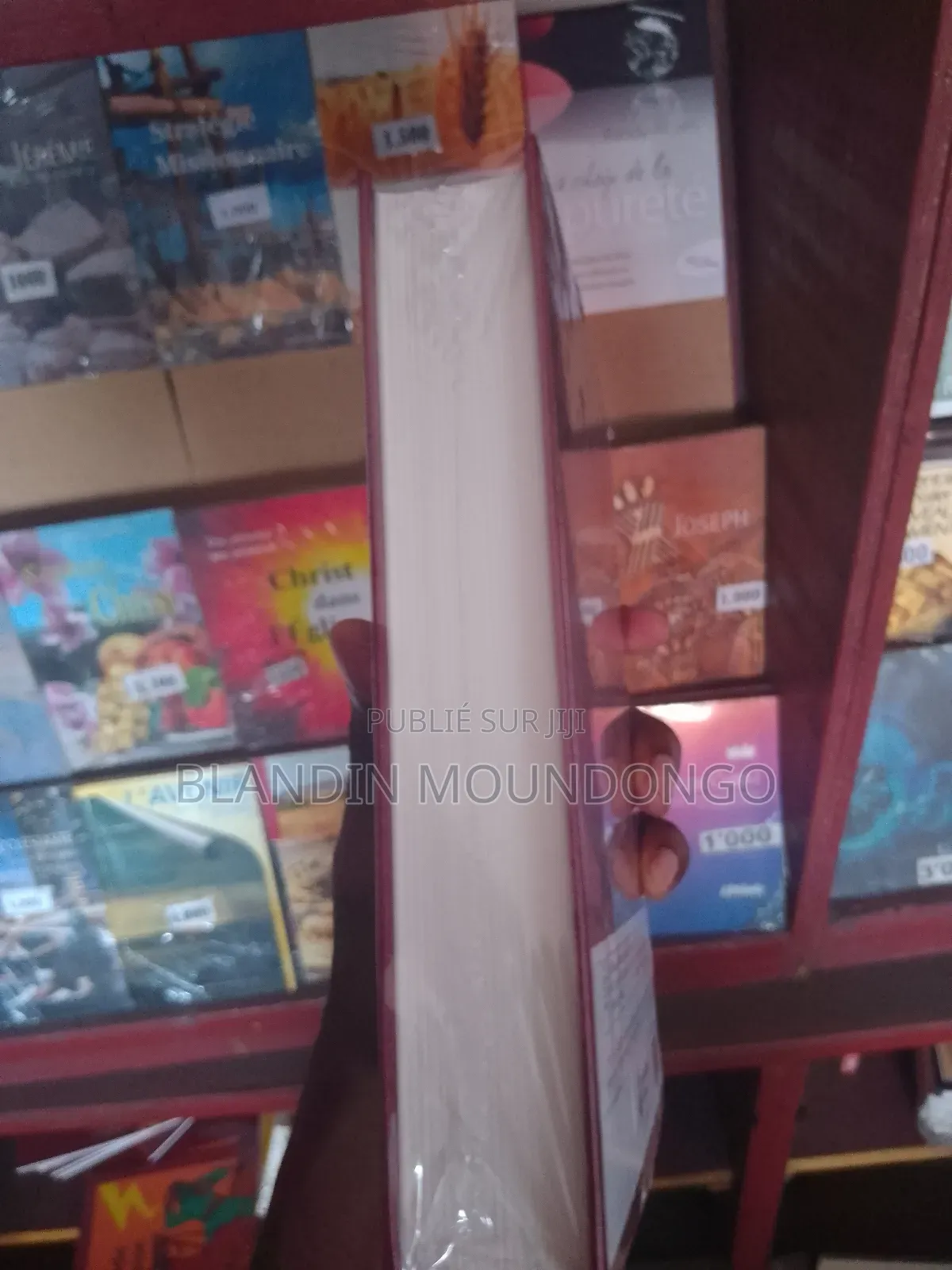 Bible d'Étude Scofield