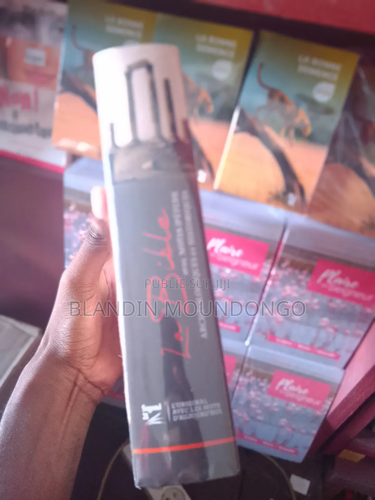 Bible d'Étude Archéologique Et Historique