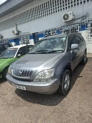 Lexus RX 300 2003 Gris