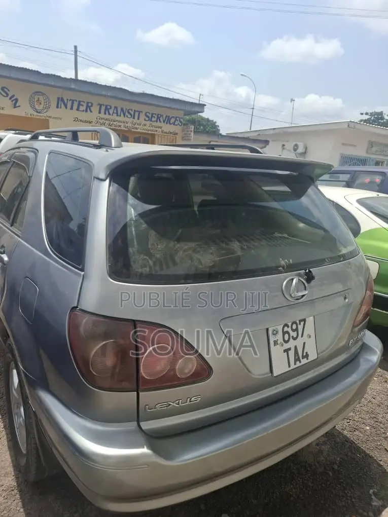 Lexus RX 300 2003 Gris