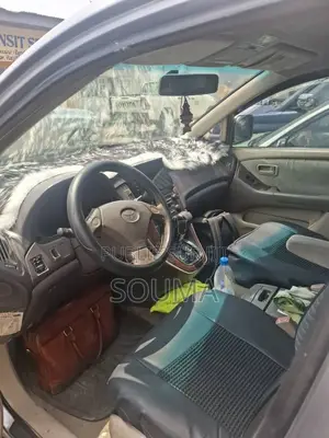 Lexus RX 300 2003 Gris