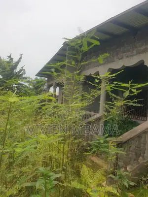 Parcelle a Mongo Poukou