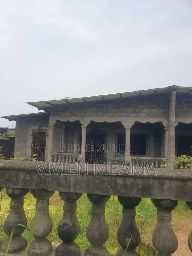 Parcelle a Mongo Poukou